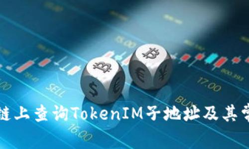 如何在区块链上查询TokenIM子地址及其常见问题解答