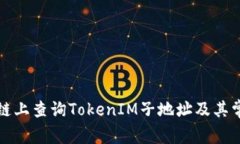 如何在区块链上查询TokenIM子地址及其常见问题解