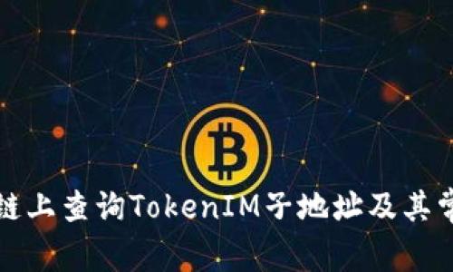 如何在区块链上查询TokenIM子地址及其常见问题解答