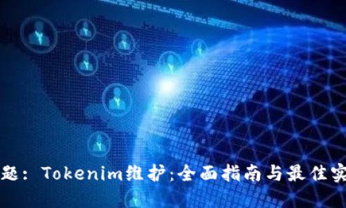 标题: Tokenim维护：全面指南与最佳实践