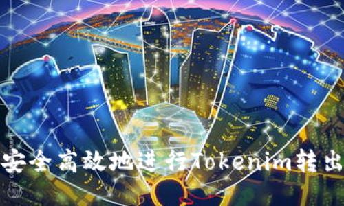 如何安全高效地进行Tokenim转出操作