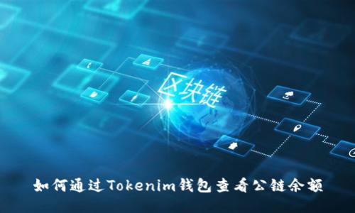 如何通过Tokenim钱包查看公链余额