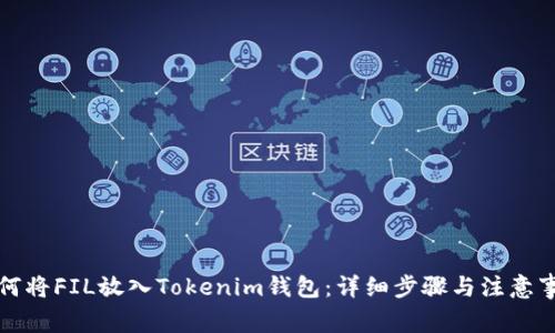 如何将FIL放入Tokenim钱包：详细步骤与注意事项