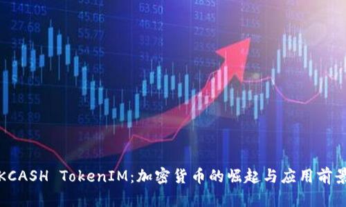 KCASH TokenIM：加密货币的崛起与应用前景