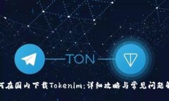 如何在国内下载Tokenim：详细攻略与常见问题解答