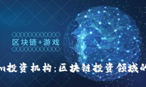 Tokenim投资机构：区块链投资领域的新宠儿