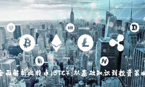 全面解析比特币(BTC):从基础知识到投资策略