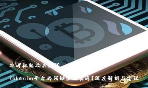 思考标题及关键词

Tokenim平台为何缺少民宿通？深度解析与建议