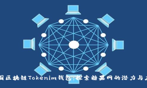 外国区块链Tokenim钱包：探索糖果网的潜力与应用