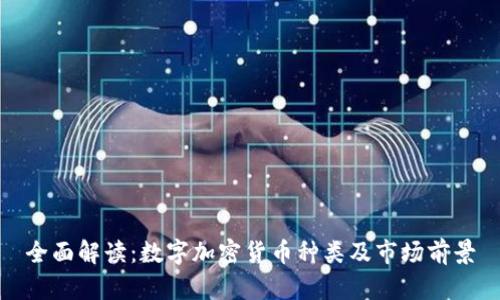全面解读:数字加密货币种类及市场前景