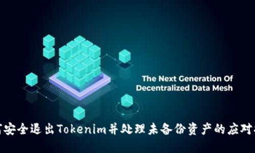 如何安全退出Tokenim并处理未备份资产的应对措施