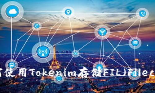 ### 如何使用Tokenim存储FIL（Filecoin）的指南