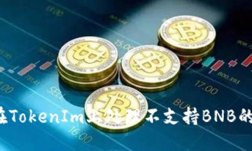 如何在TokenIm上处理不支持BNB的问题？