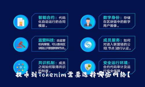 提币到Tokenim需要选择哪些网络？