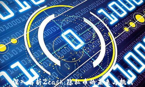 
深入解析Zcash：隐私币的未来与挑战