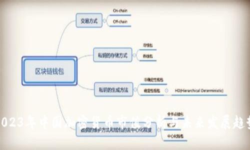 2023年中国加密货币市值分析与未来发展趋势