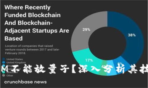 为什么TokenIM不能放量子？深入分析其技术和市场影响