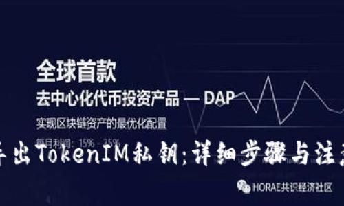 如何导出TokenIM私钥：详细步骤与注意事项