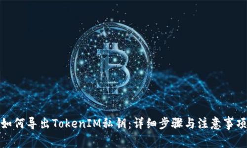 如何导出TokenIM私钥：详细步骤与注意事项