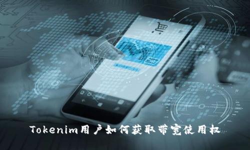 Tokenim用户如何获取带宽使用权