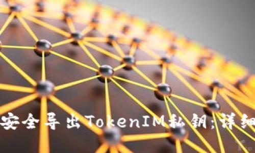 如何安全导出TokenIM私钥：详细指南