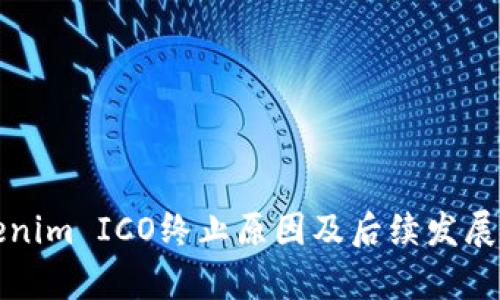 Tokenim ICO终止原因及后续发展分析