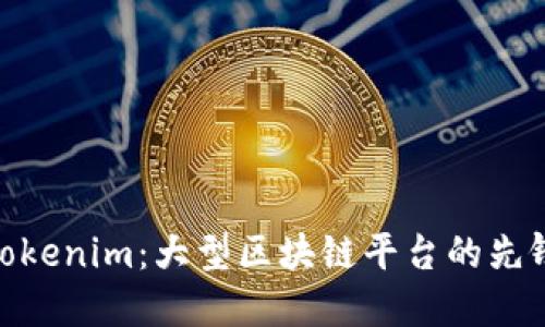 Tokenim：大型区块链平台的先锋