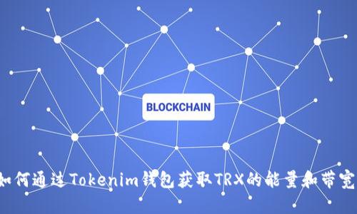 如何通过Tokenim钱包获取TRX的能量和带宽？