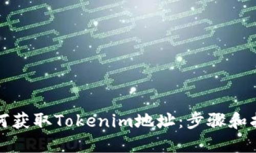 如何获取Tokenim地址：步骤和指南