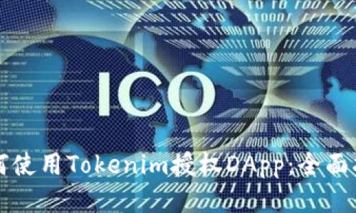 如何使用Tokenim授权DApp：全面指南