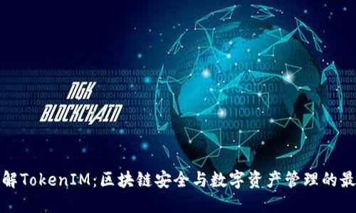 全面了解TokenIM：区块链安全与数字资产管理的最佳选择