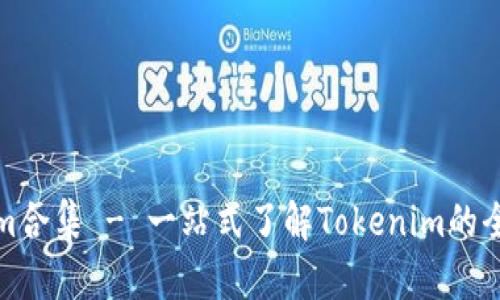 Tokenim合集 - 一站式了解Tokenim的全面指南