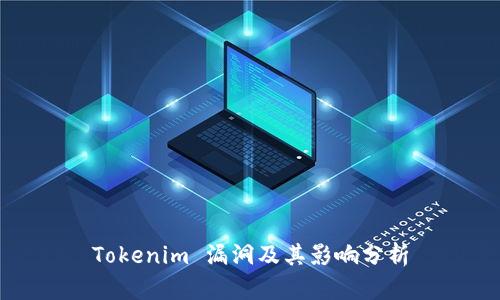 Tokenim 漏洞及其影响分析