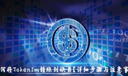   
如何将TokenIm转账到欧易？详细步骤与注意事项