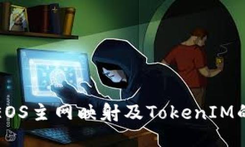 如何进行EOS主网映射及TokenIM的使用指南