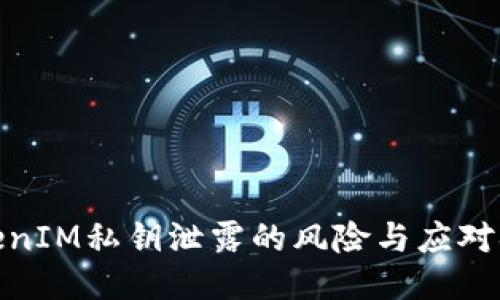 TokenIM私钥泄露的风险与应对措施