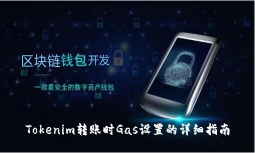 Tokenim转账时Gas设置的详细指南