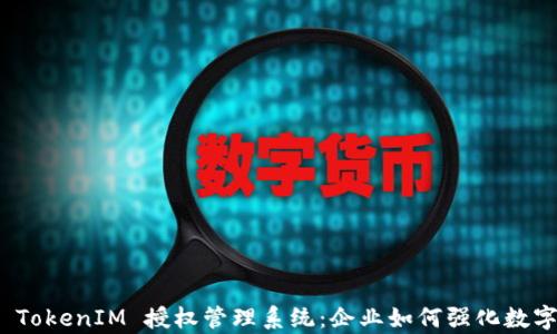 
全面解析 TokenIM 授权管理系统：企业如何强化数字资产安全