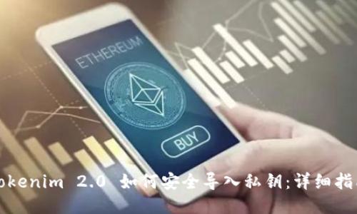 Tokenim 2.0 如何安全导入私钥：详细指南