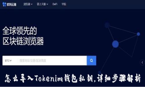   
怎么导入Tokenim钱包私钥，详细步骤解析