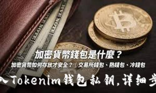   
怎么导入Tokenim钱包私钥，详细步骤解析