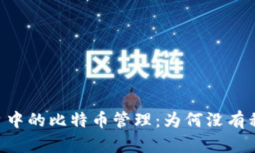 Tokenim平台中的比特币管理：为何没有私钥及其影响