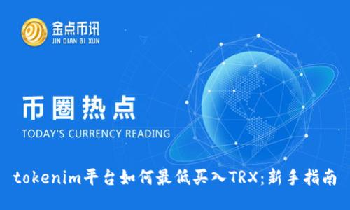 tokenim平台如何最低买入TRX：新手指南