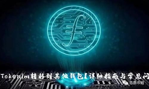 如何将Tokenim转移到其他钱包？详细指南与常见问题解答