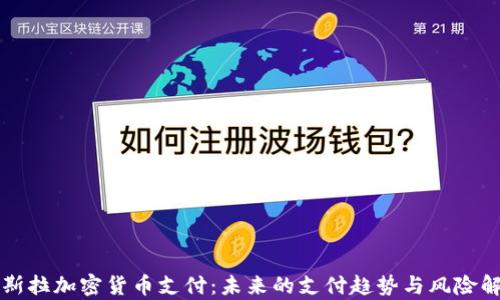 
特斯拉加密货币支付：未来的支付趋势与风险解析