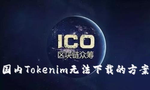 : 解决国内Tokenim无法下载的方案与技巧