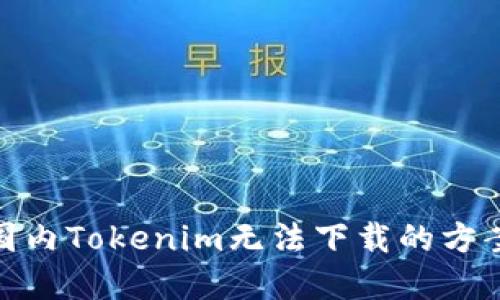 : 解决国内Tokenim无法下载的方案与技巧