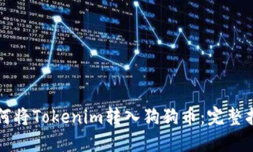 如何将Tokenim转入狗狗币：完整指南