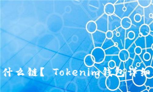 Tokenim钱包是什么链？ Tokenim钱包详细解析及使用指南