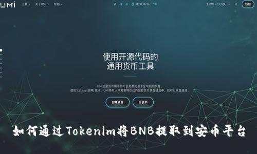 如何通过Tokenim将BNB提取到安币平台